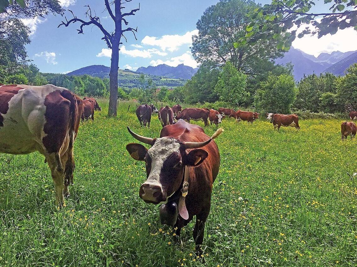 L'Ourserie Bed & Breakfast Saint-Paul-en-Chablais Room photo
